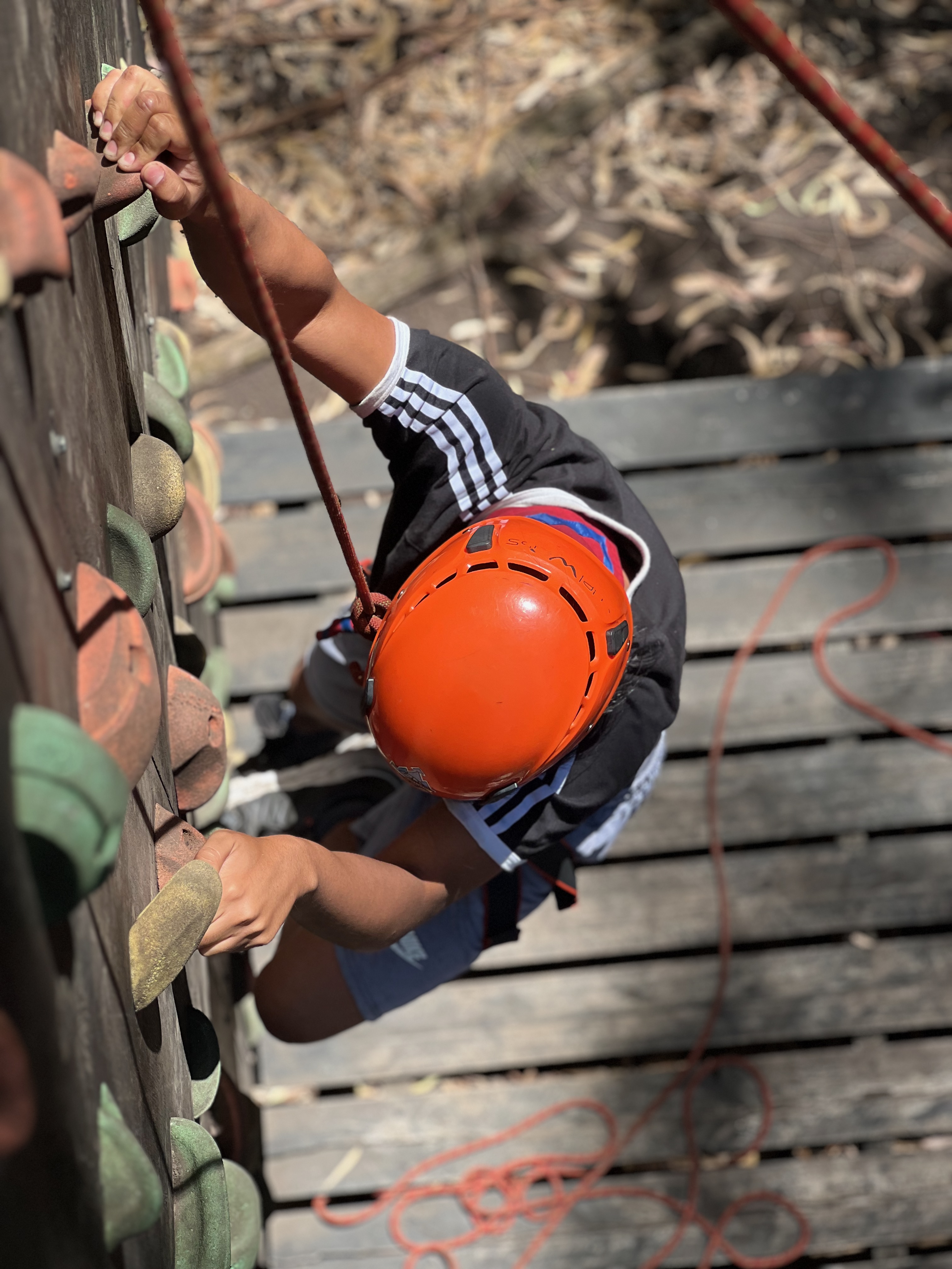 Juegos de altura y sistema vestibular