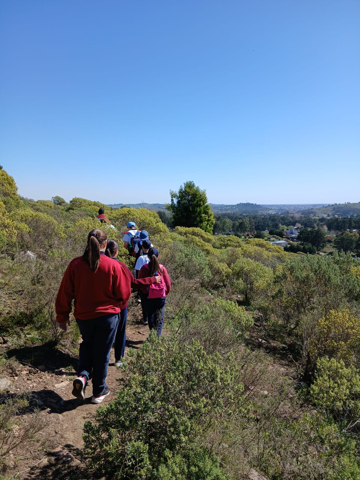 Trekking y funciones ejecutivas