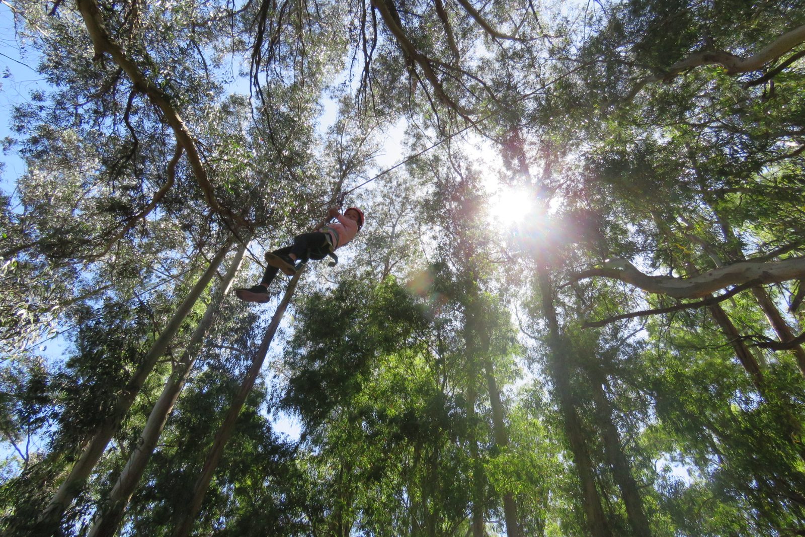 Tirolesa de 100 metros entre árboles en Tandil Aventura